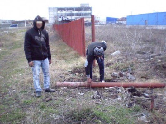 Furau stâlpii metalici şi gardul unei societăţi, la Mangalia